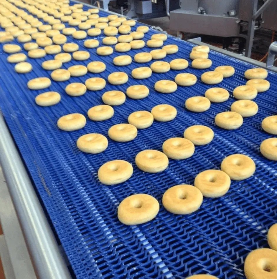 Conveyor belt