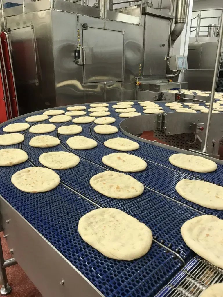 Food conveyer system