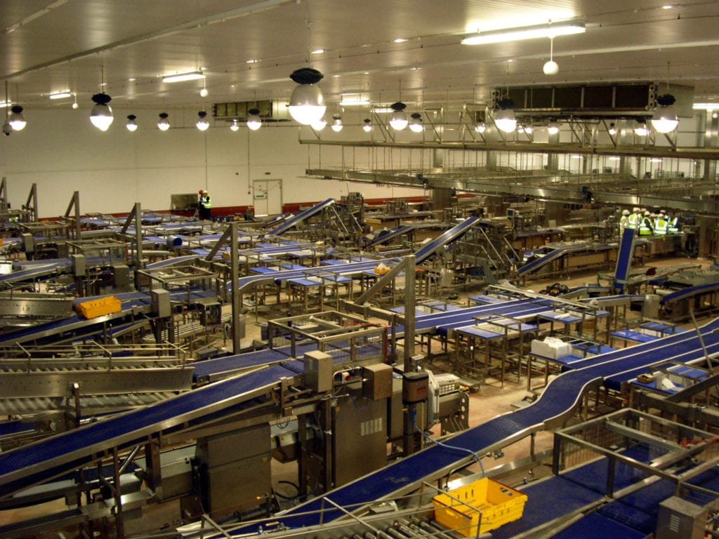 Modular Conveyor