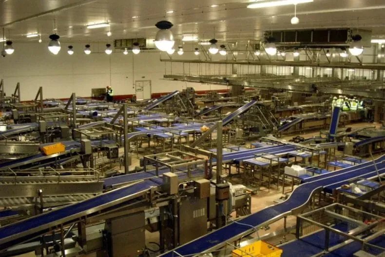 SS-MODULAR-CONVEYOR