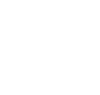 bullet icon white