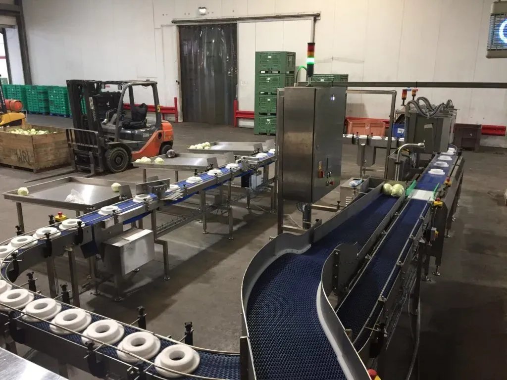 cabbages automation