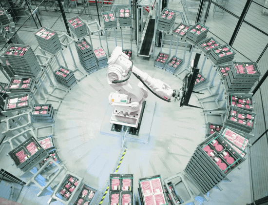 palletising robot