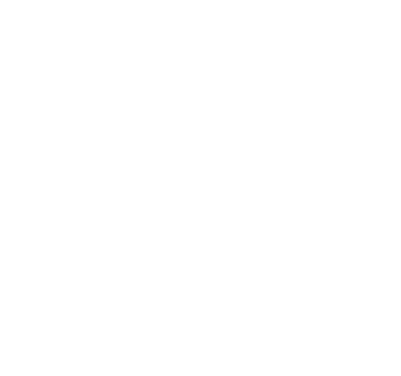 plane icon